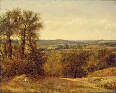 Dedham Vale, c.1802 da John Constable